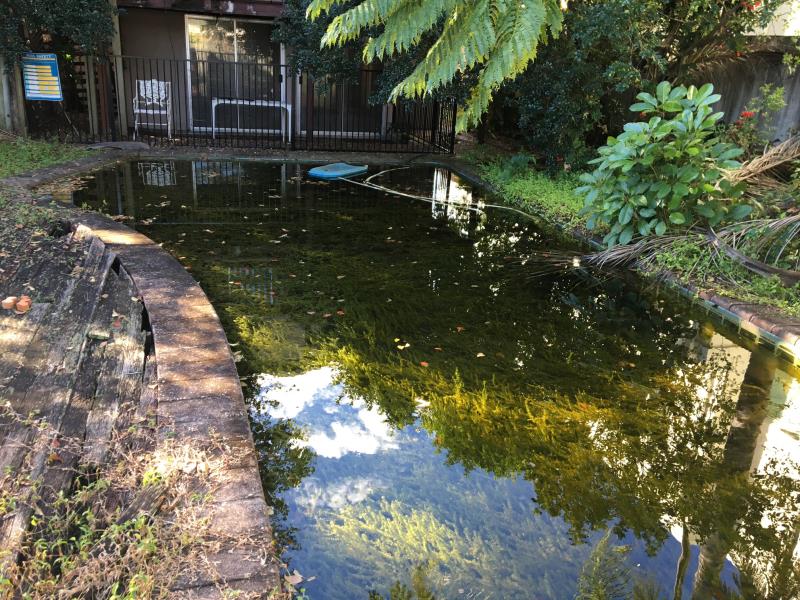 Green pool gold coast cleaning