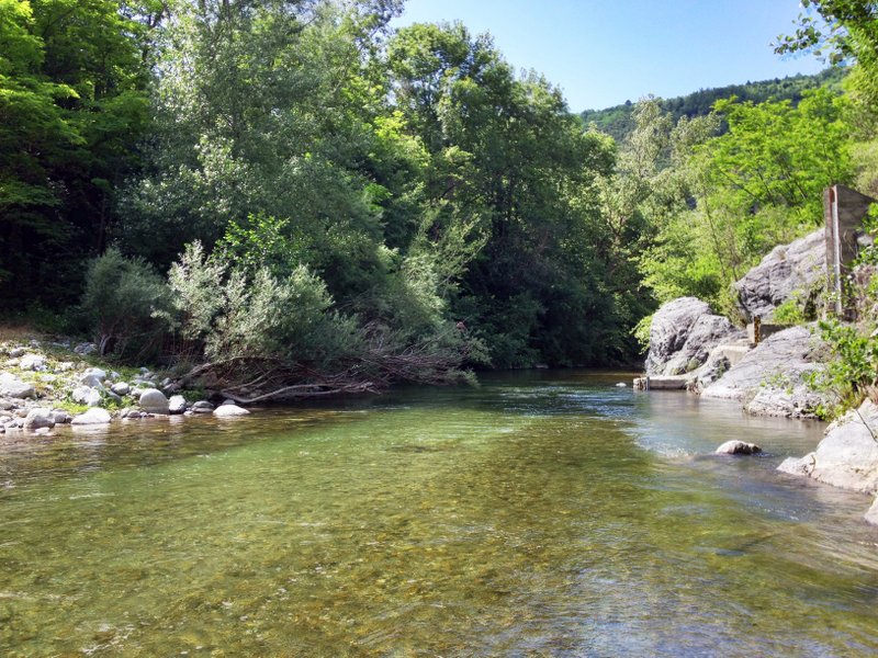 Mountain stream near Coustouges