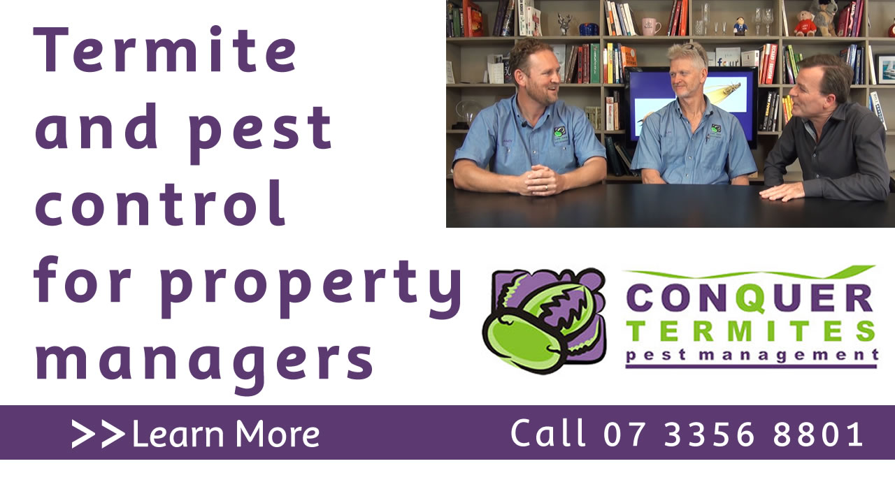 Termite and pest control for property managers. Conquer Termites Northside