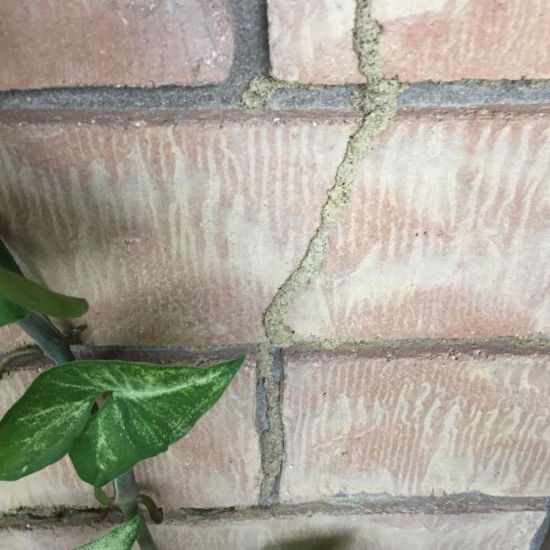 termite treatment gold coast