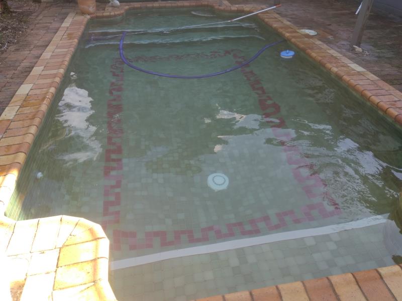 pool cleaner Hollywell