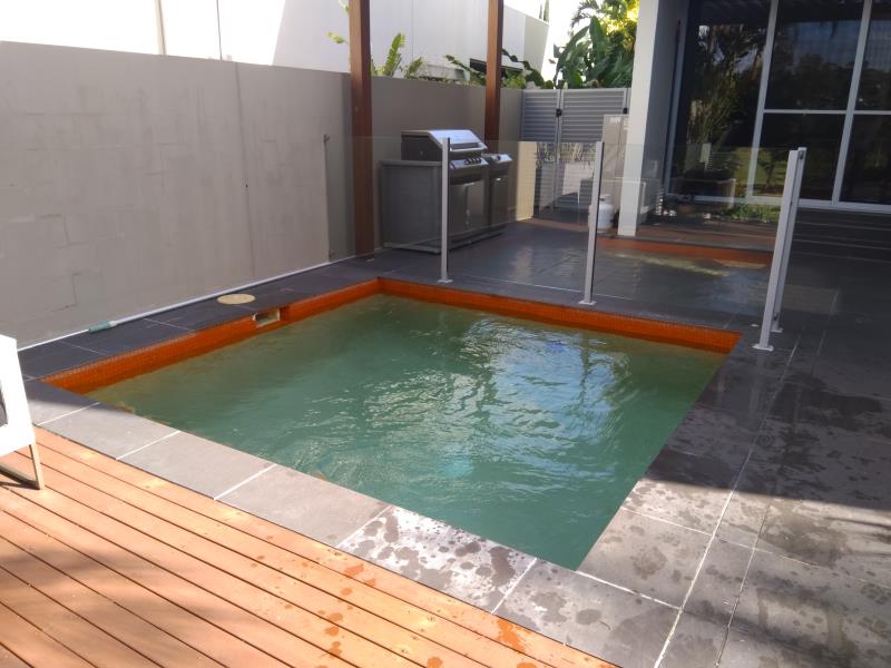 pool cleaner Ashmore