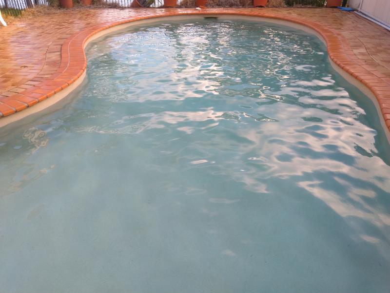 pool cleaner Mermaid Waters