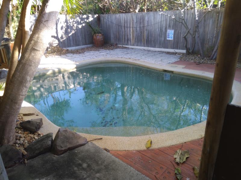 pool cleaner Mermaid Waters