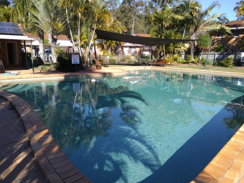 pool services Coombabah