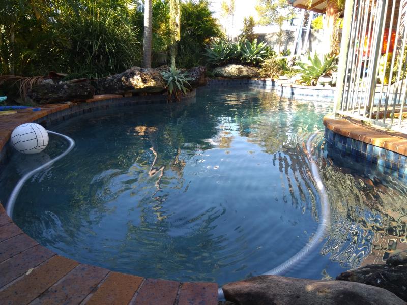 pool services Ashmore