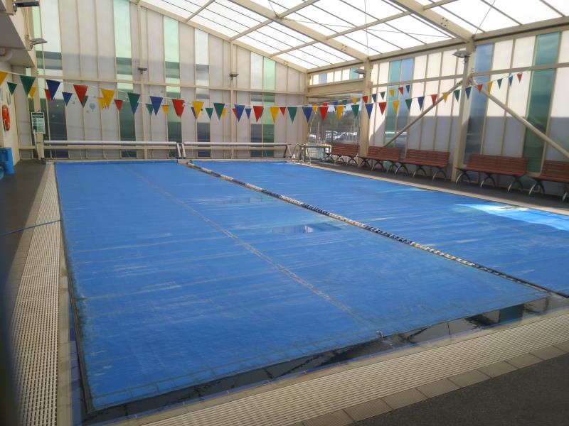 pool cleaner Carrara