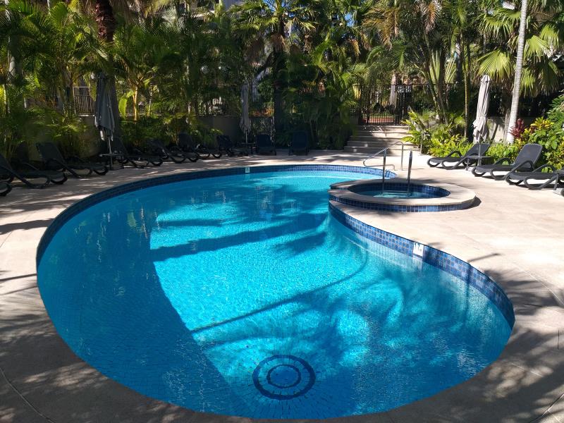 pool cleaner Surfers Paradise