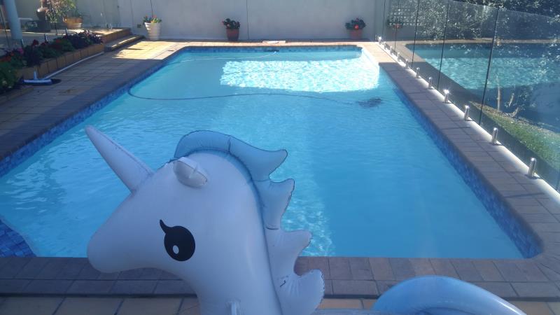 pool cleaner Broadbeach Waters