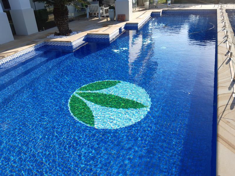 pool cleaner Paradise Point