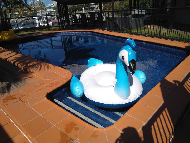 pool services Southport