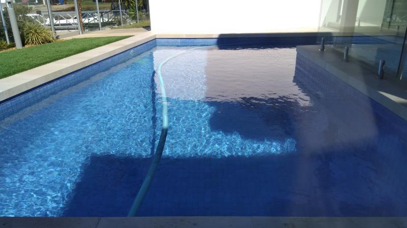 pool cleaner Hollywell