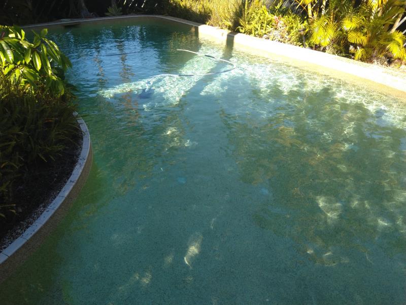 pool cleaner Southport