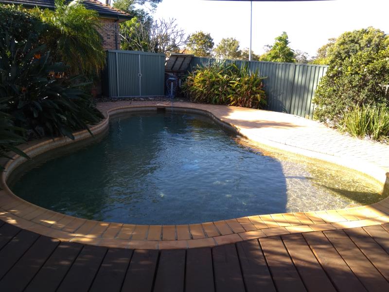 pool cleaner Ashmore
