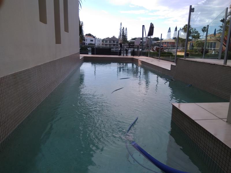 pool services Paradise Point