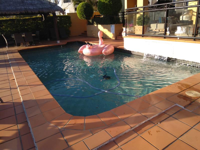 pool cleaner Bundall