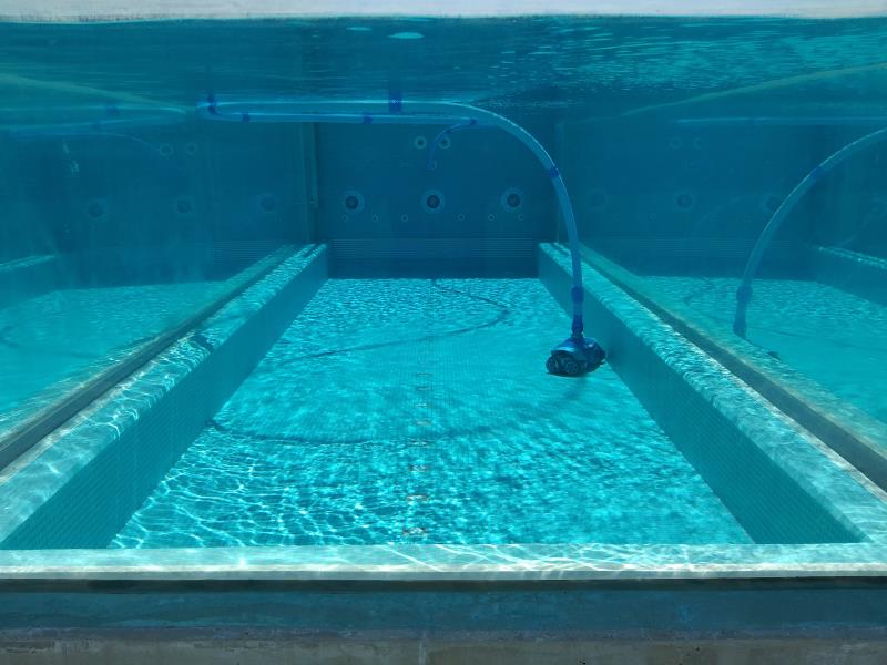 pool cleaner Main Beach