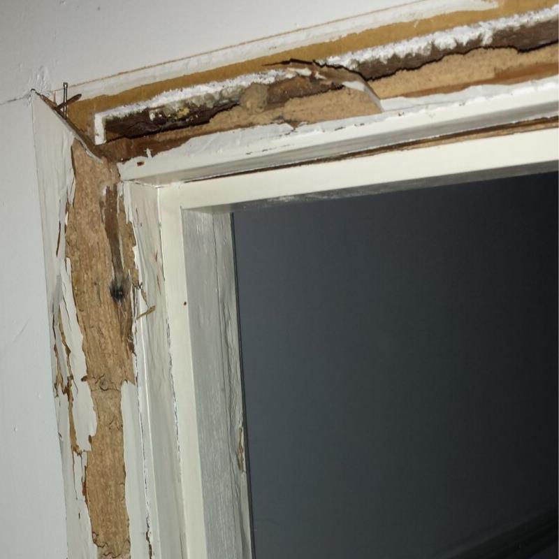 Termites Northside - Termite Activity in Narangba