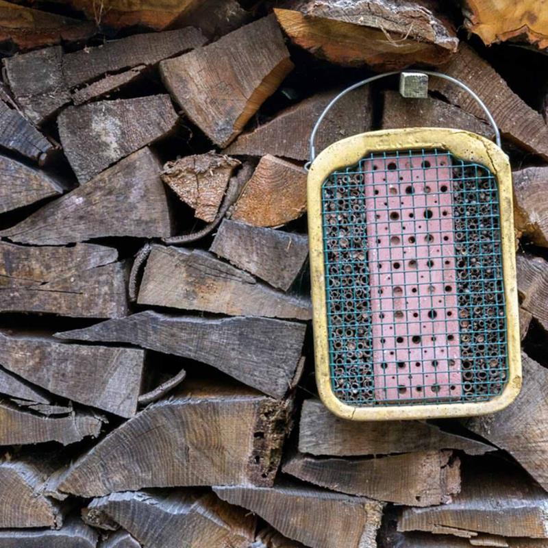 DIY Termite Treatments - Don't Risk It