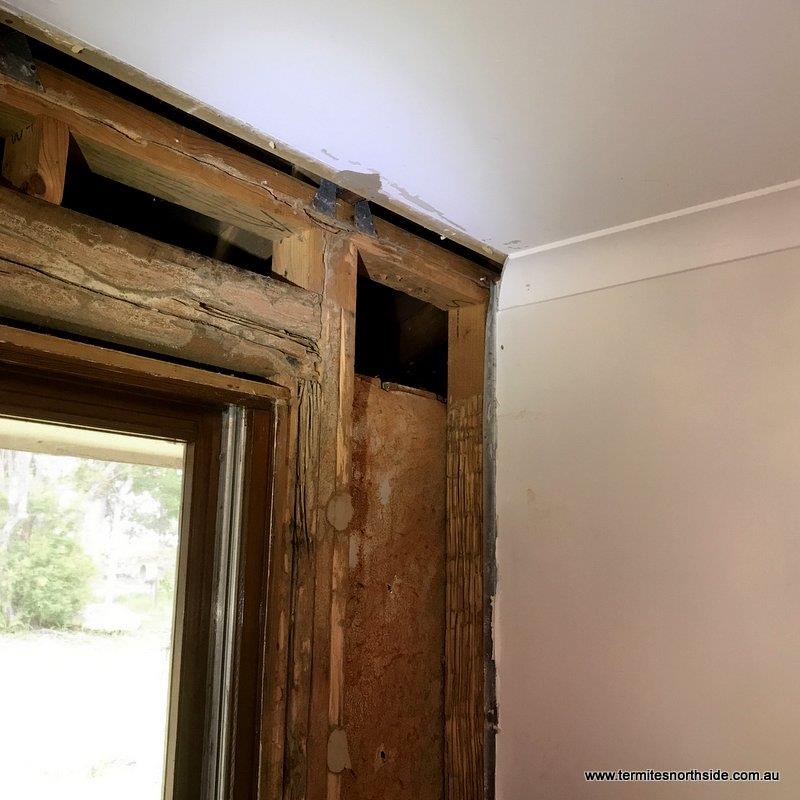 Uncovering a house full of termites upon renovations at Oceanview