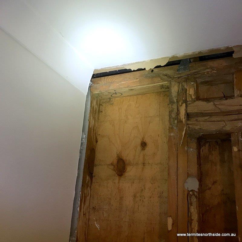 Uncovering a house full of termites upon renovations at Oceanview