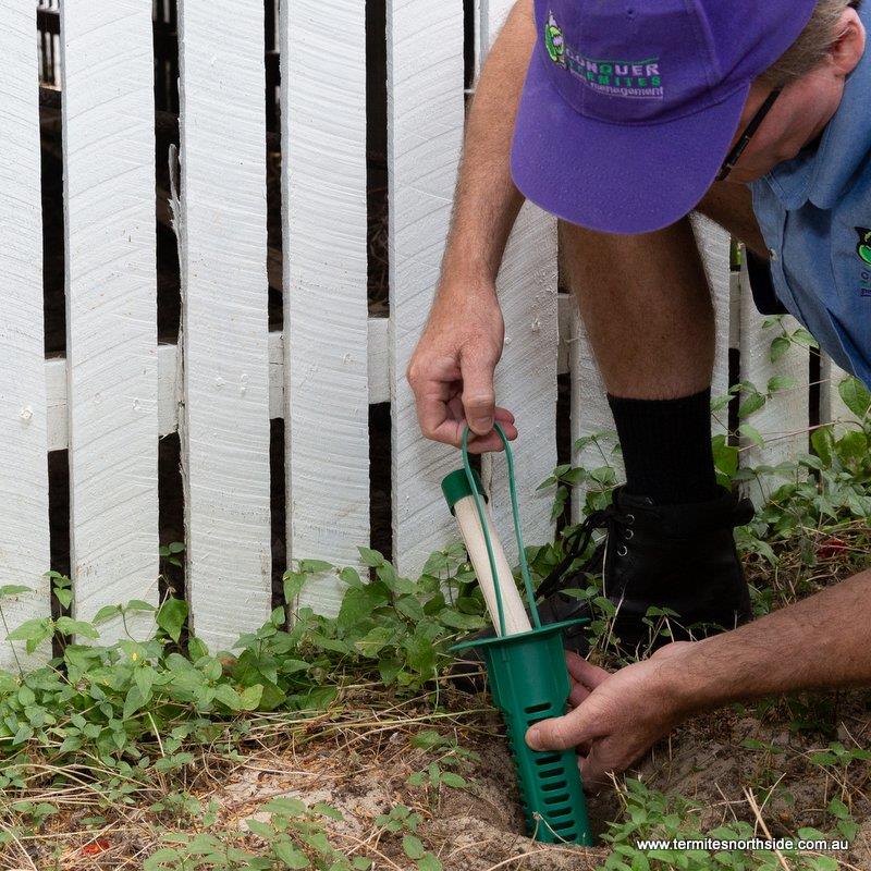 Uncovering a house full of termites upon renovations at Oceanview