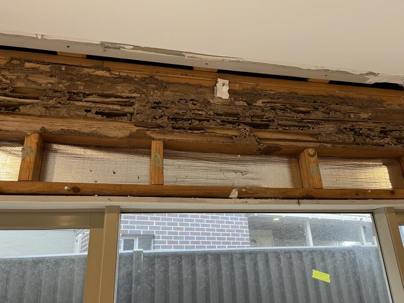 Termite damage Renovation Builders Kalchin