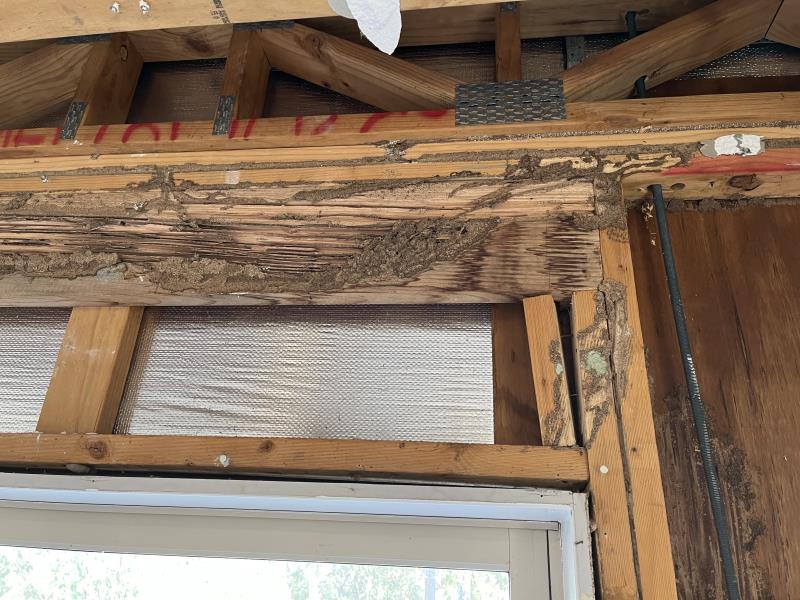 Termite damage Renovation Builders Kalchin 