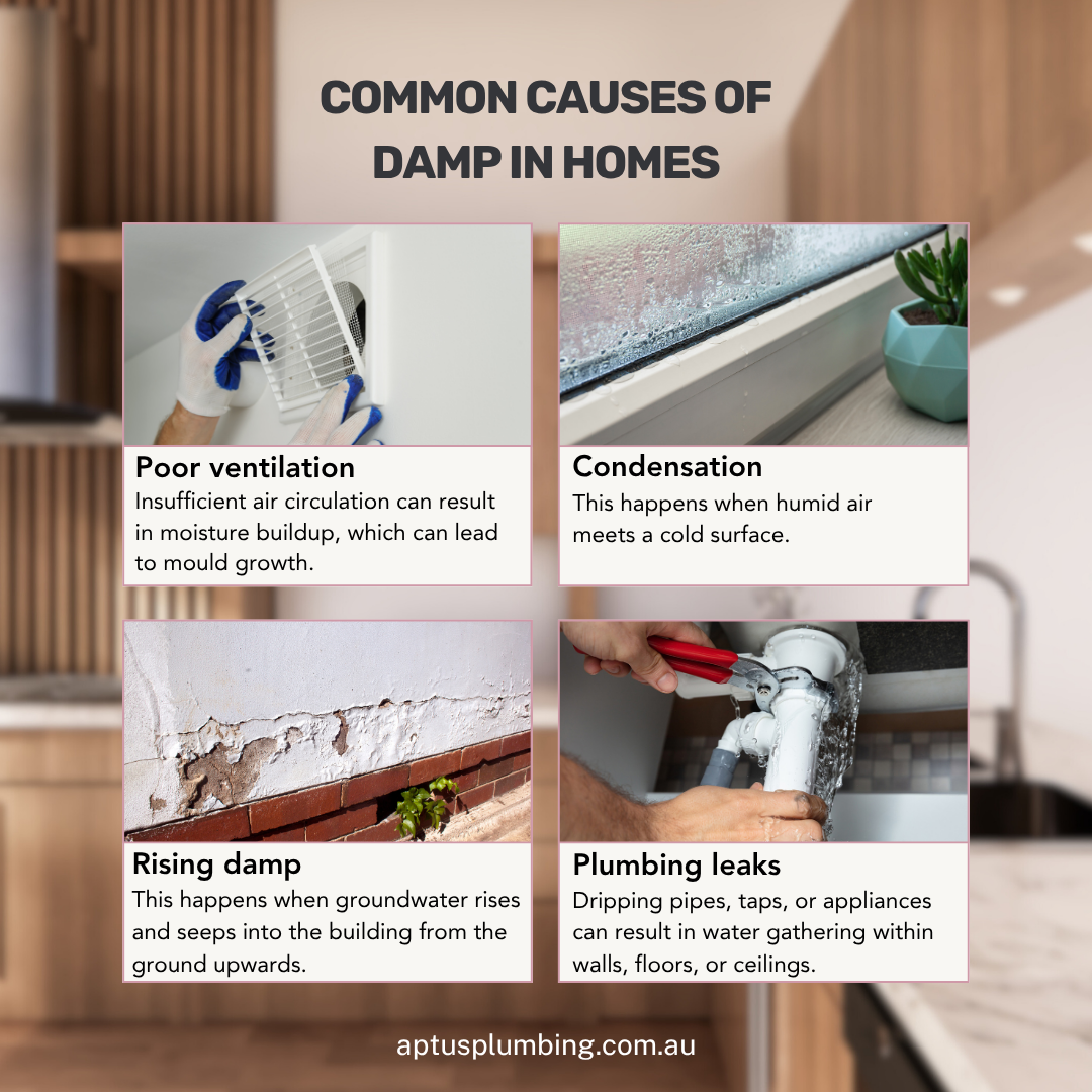Common Causes of Damp in Homes