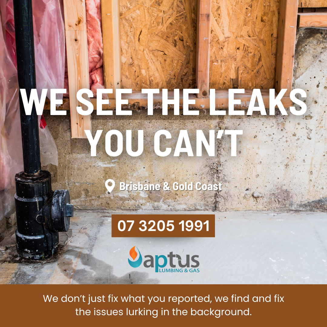 Photo of this news article